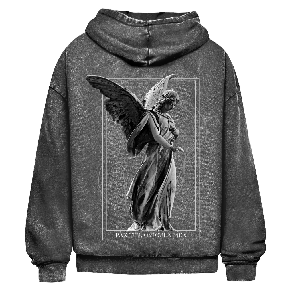 Oversize Washed Out Hoodie Statue Horizon