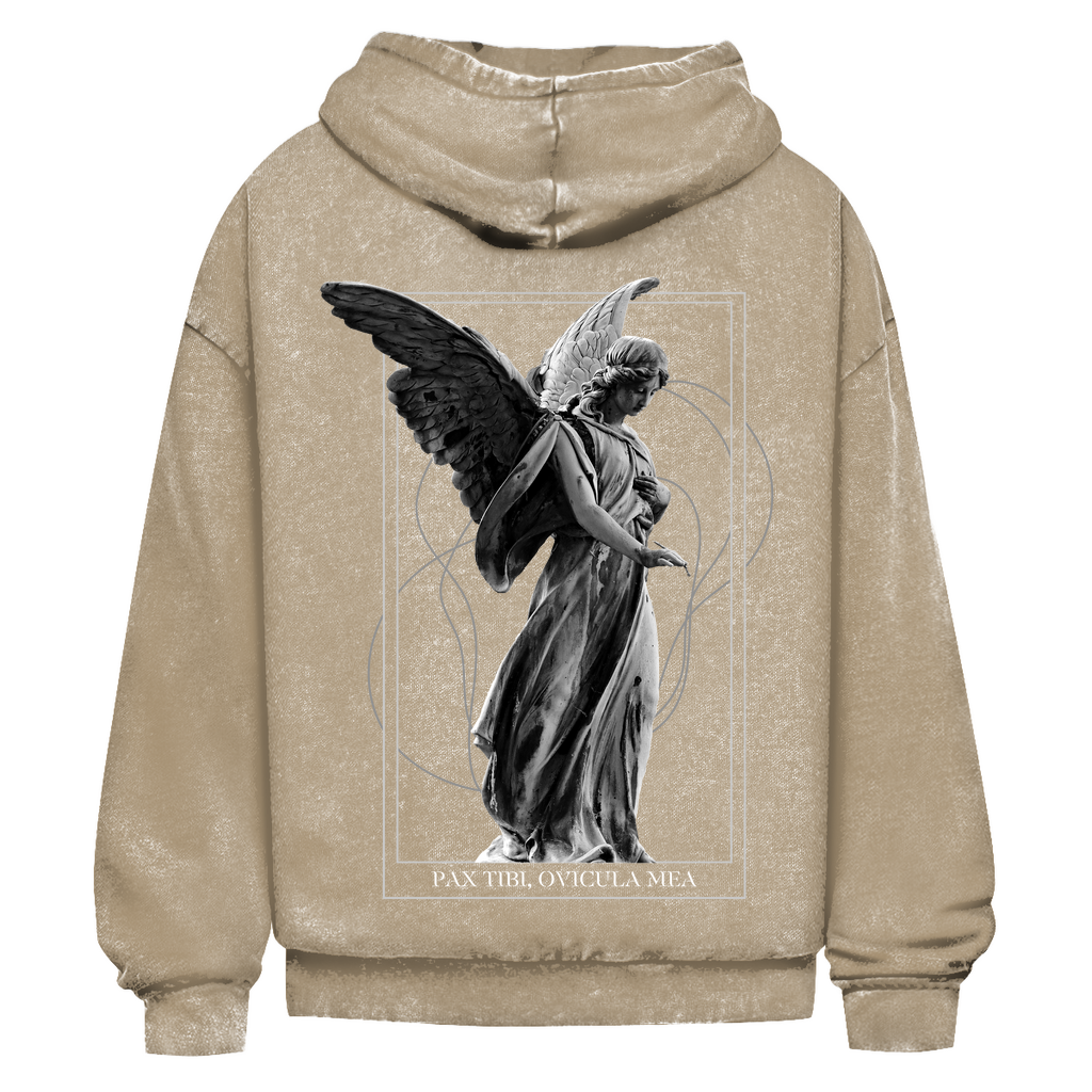 Oversize Washed Out Hoodie Statue Horizon