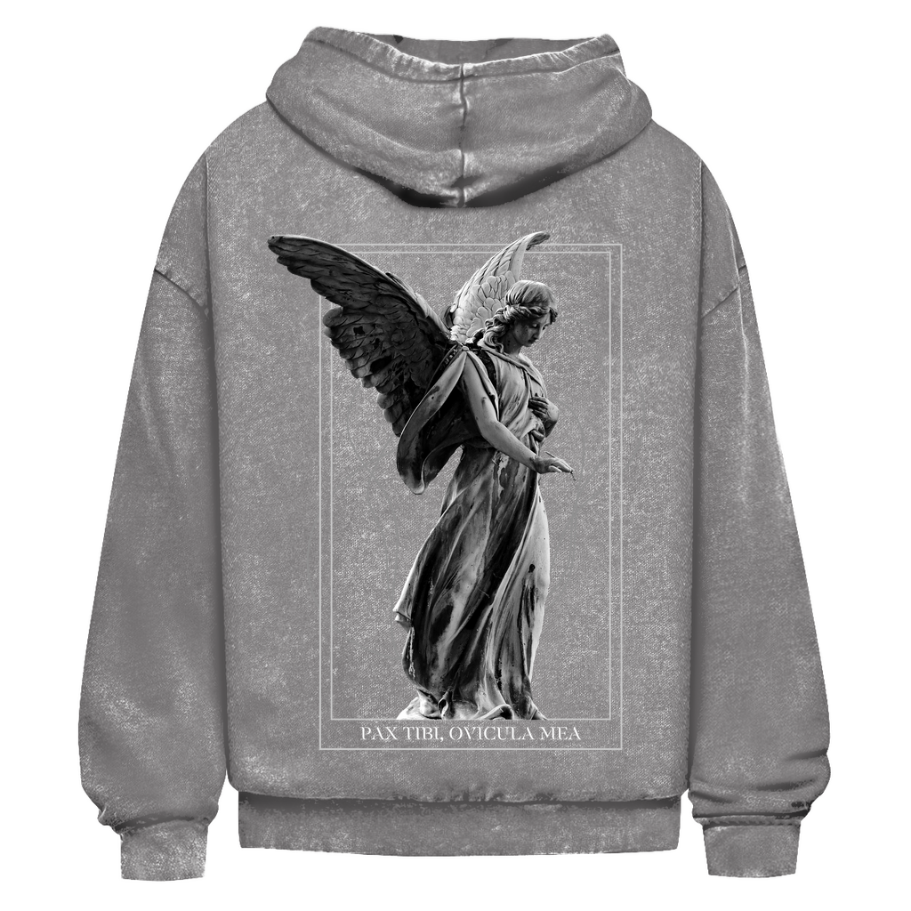 Oversize Washed Out Hoodie Statue Horizon
