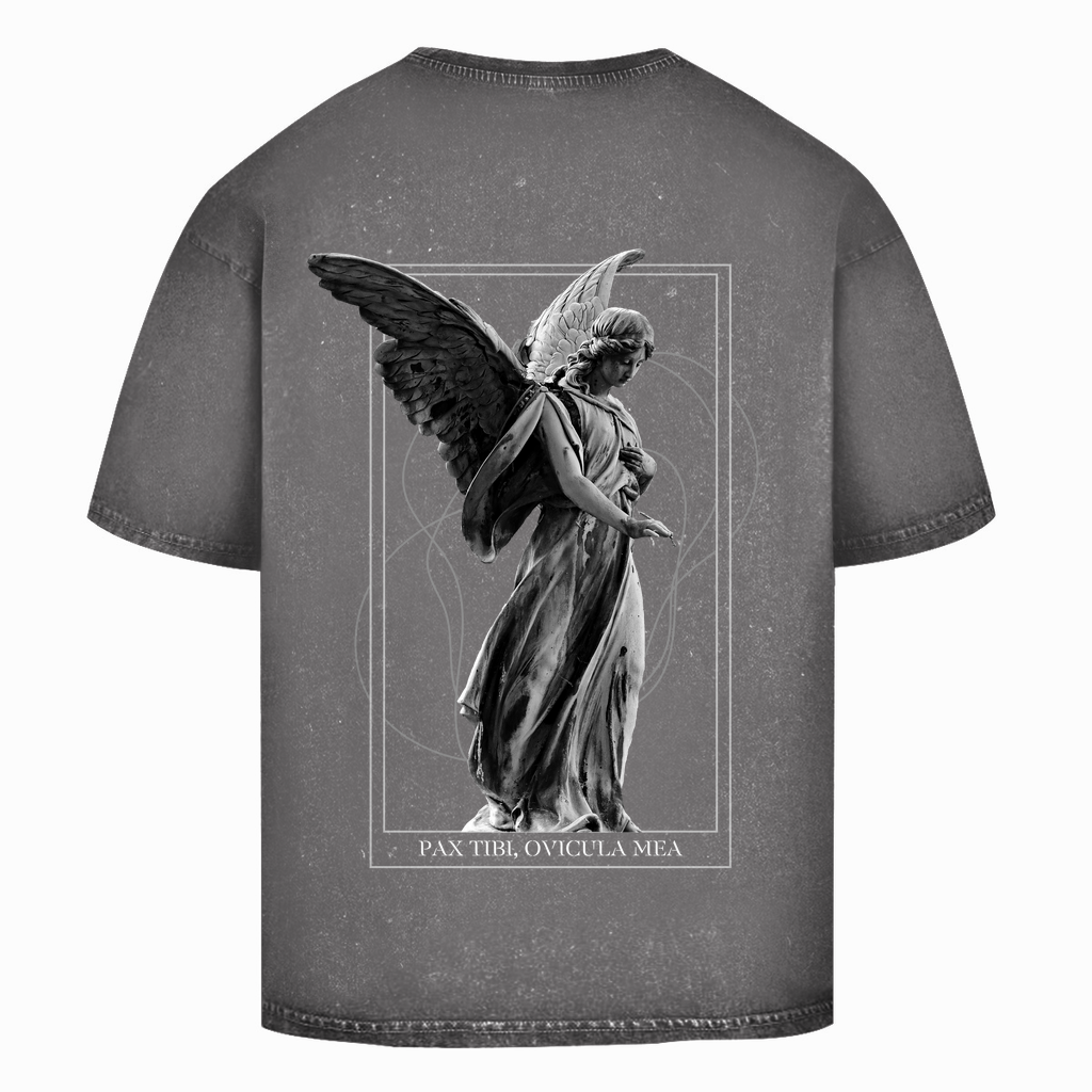Oversize Washed Unisex T-Shirt Timeless Angel